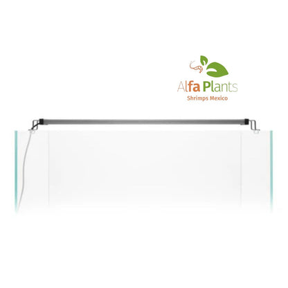 Twinstar Light 60A