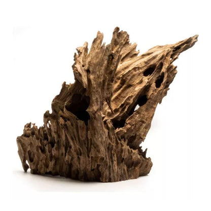 Dragon Driftwood