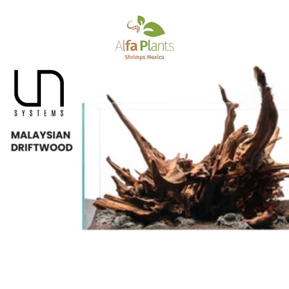 Malaysian Driftwood