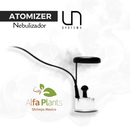 Atomizer