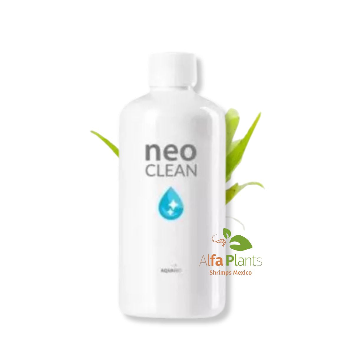 Neo Clean