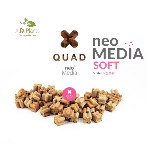 Neo Media Quad Soft