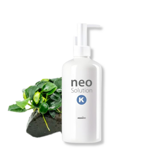 Neo Solution K