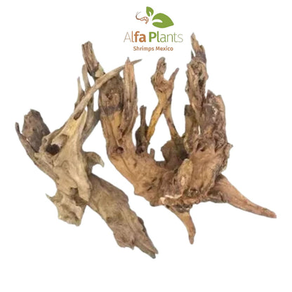 Pacific Driftwood