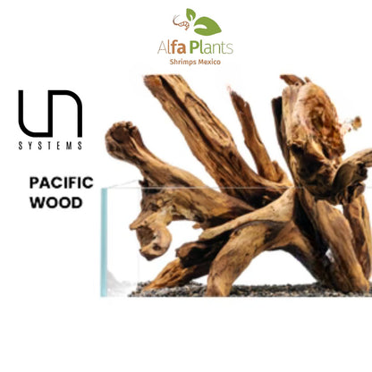 Pacific Driftwood