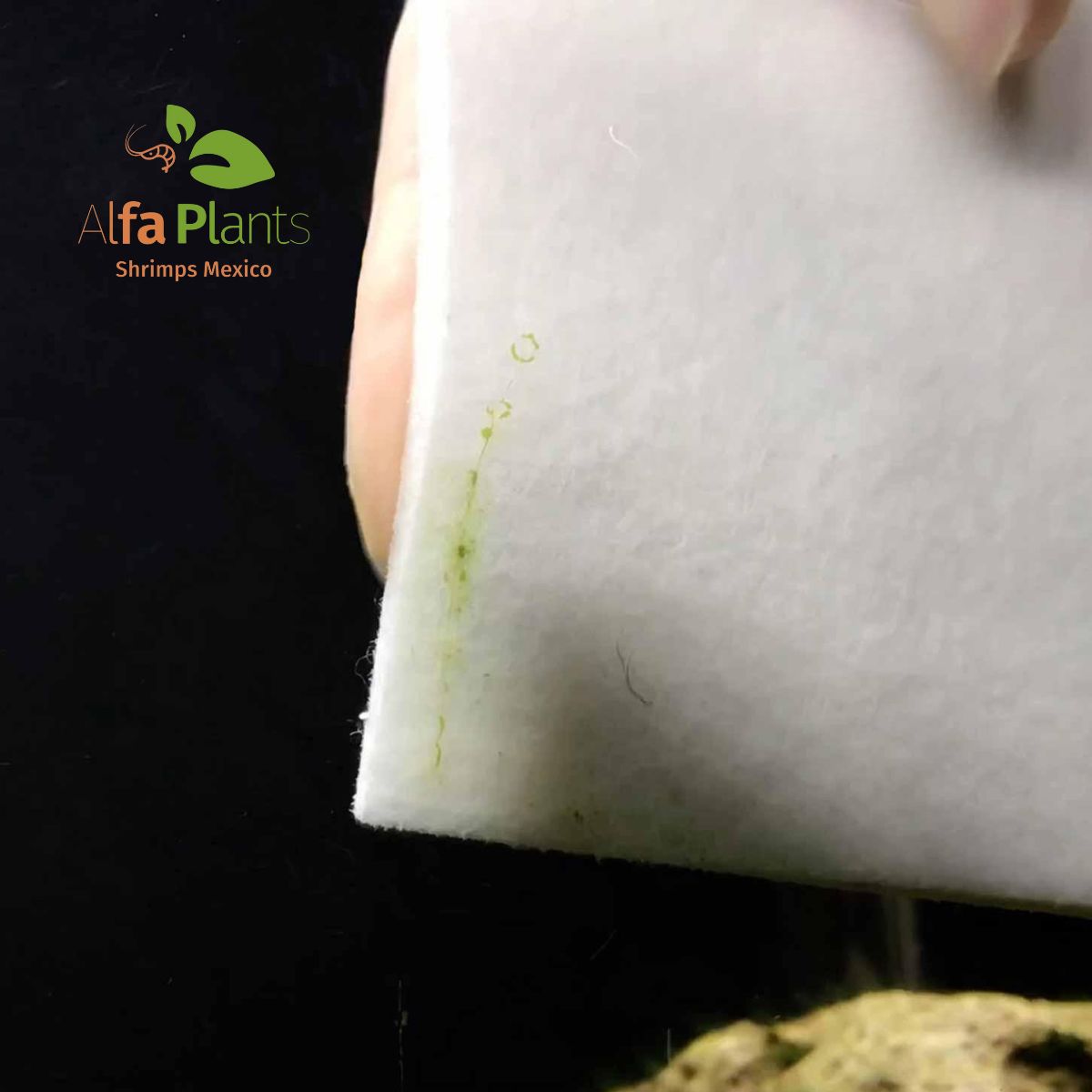 PAD Fibra anti rayaduras