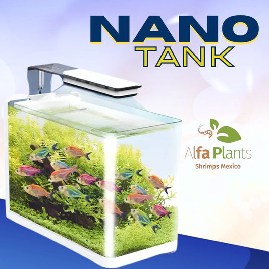 Nano Tank Sunny