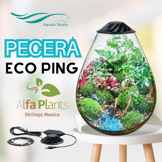 Pecera Eco Ping