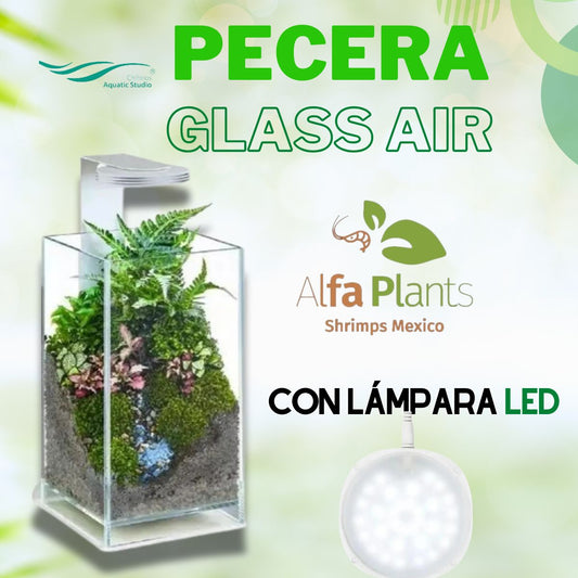 Pecera Glass Air