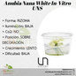 Anubia Nana White In-vitro