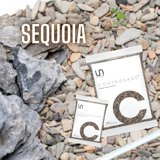 Controsand Sequoia
