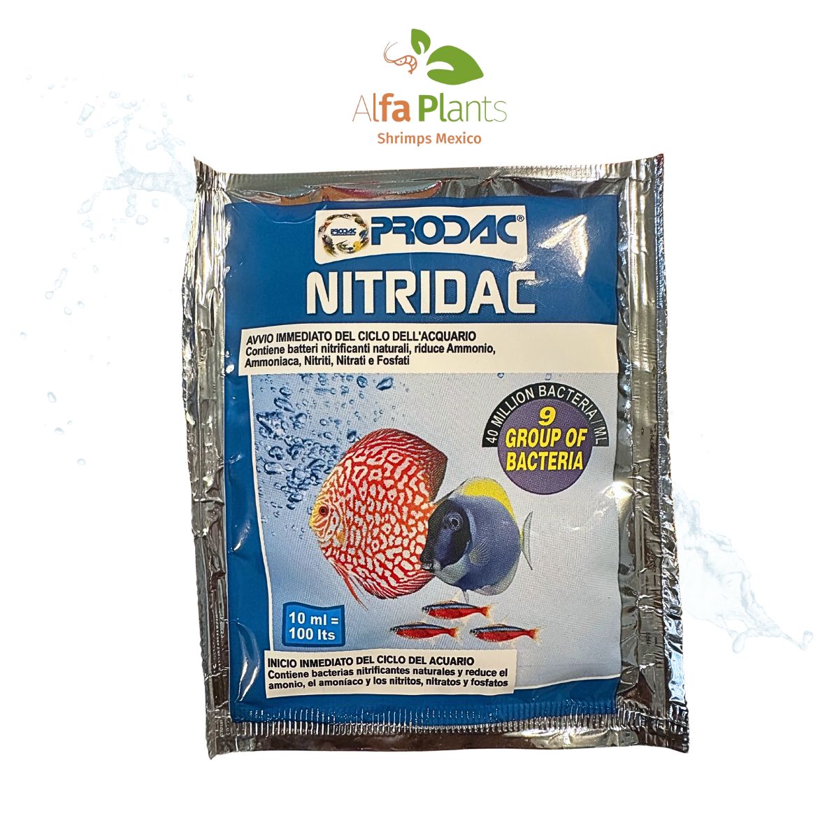 Prodac Nitridac Bacteria