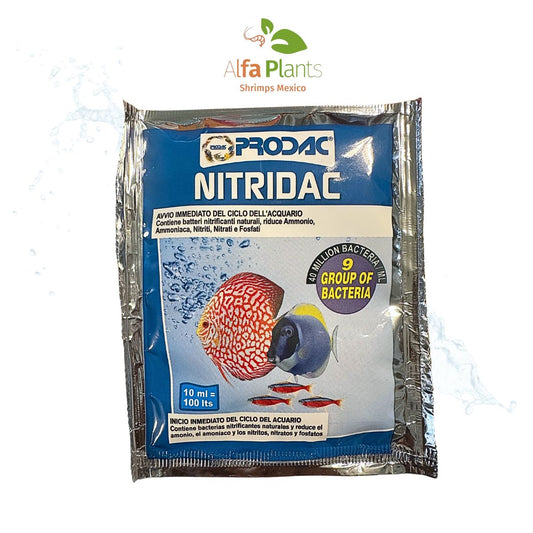 Prodac Nitridac Bacteria