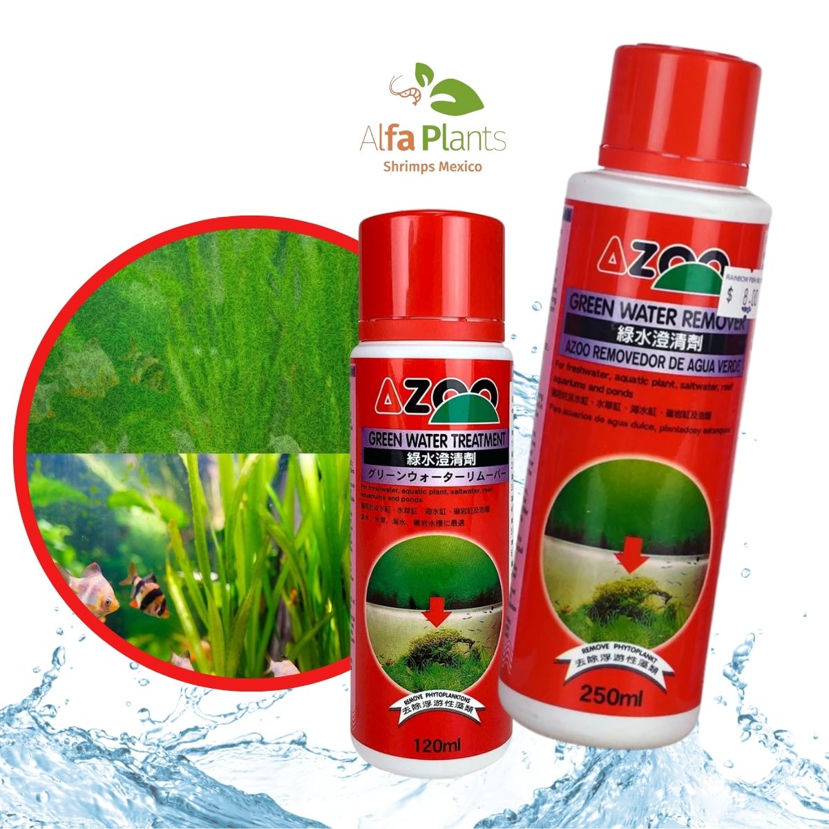Green Water Remover Azoo – Alfa Plants Shrimps México