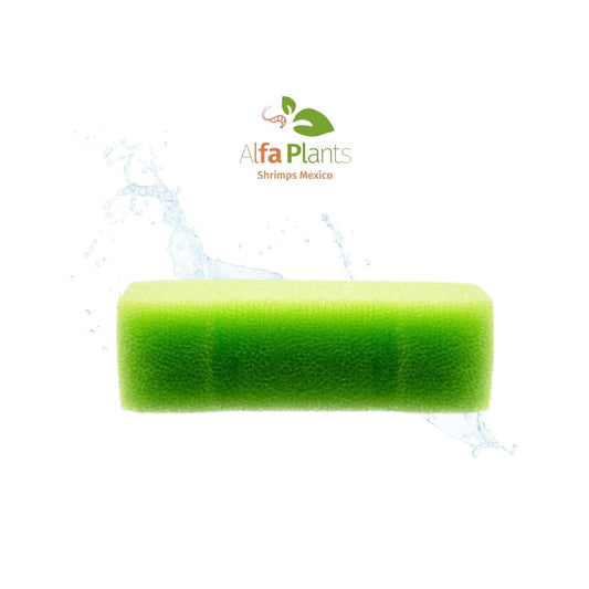 Repuesto para filtro canister Delta Green Sponge