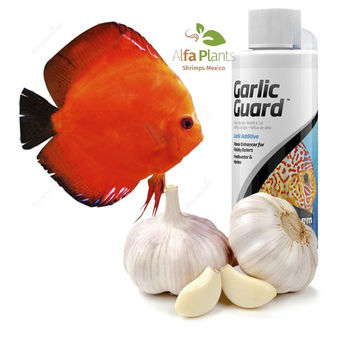 Garlic Guard