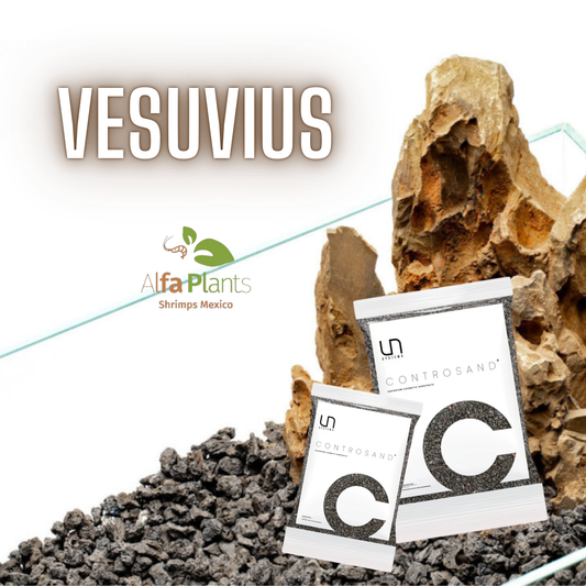 Controsand Vesuvius