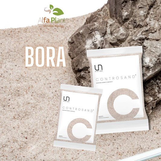 Controsand Bora