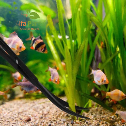 Kit de herramientas negras con cepillo