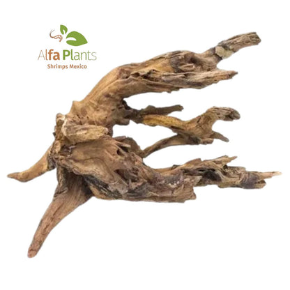 Pacific Driftwood
