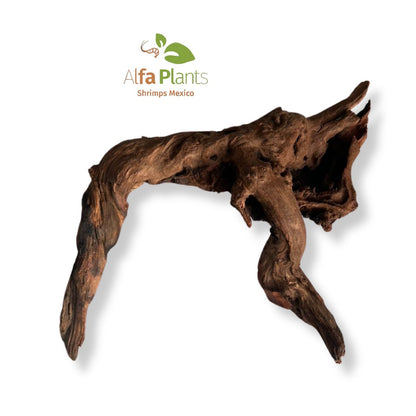 Malaysian Driftwood