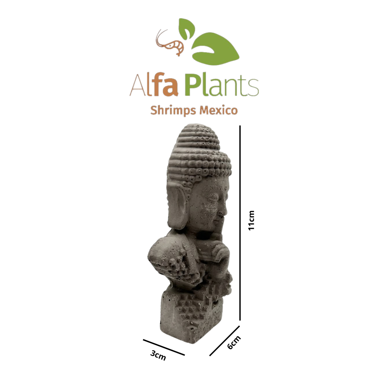 Buda Plano de piedra