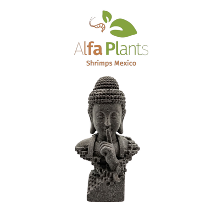 Buda Plano de piedra