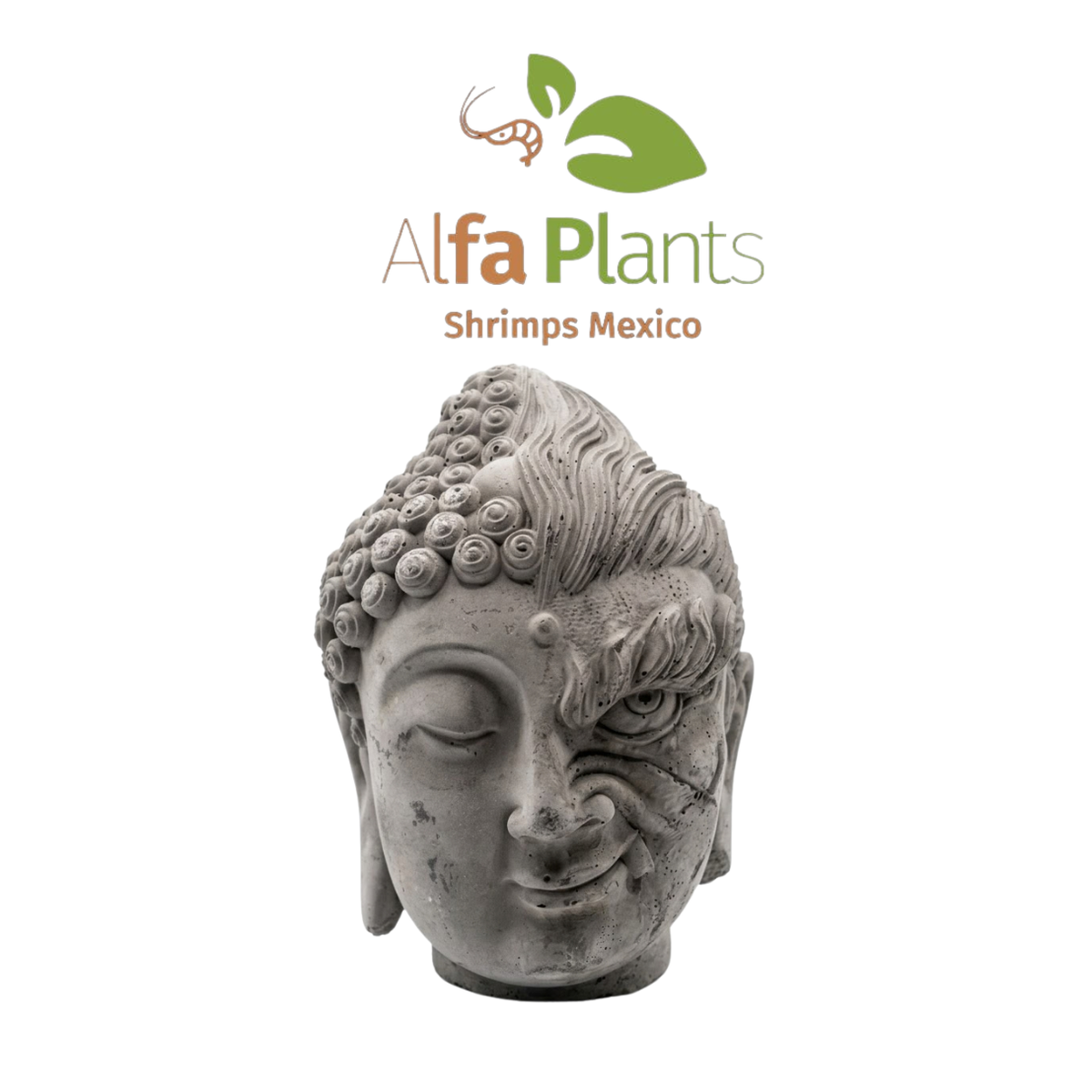 Buda Dualidad de piedra