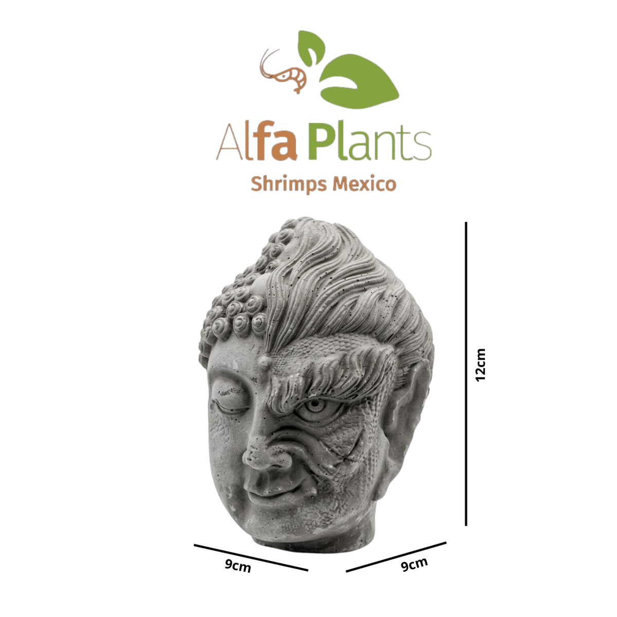 Buda Dualidad de piedra