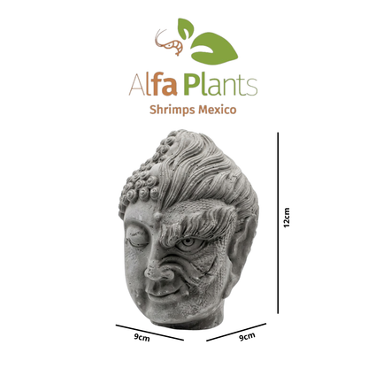 Buda Dualidad de piedra