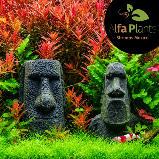 Moai de piedra