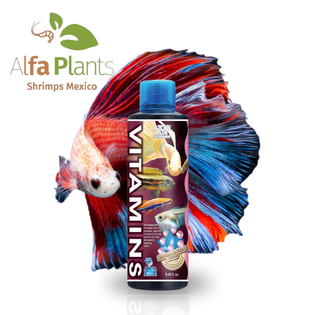 Azoo Plus Vitamins