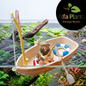 Barca Flotante