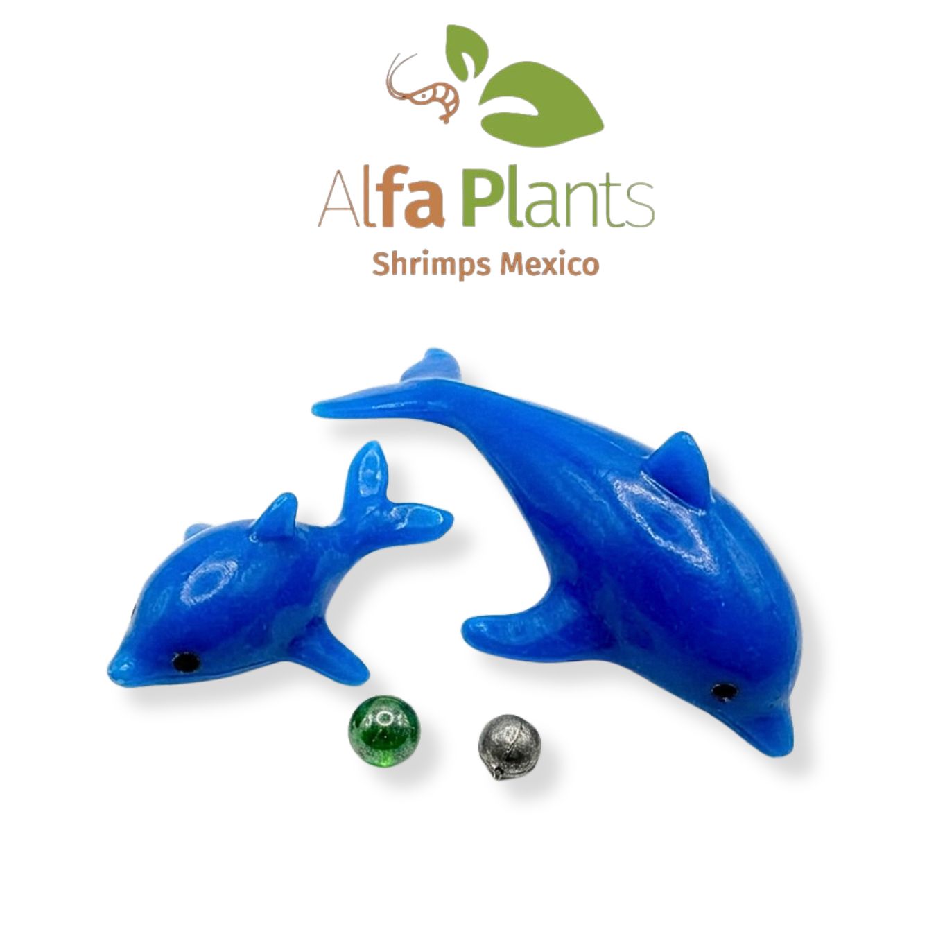 Azoo Delfines