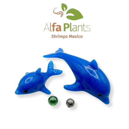 Azoo Delfines
