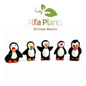 Azoo Pingüino