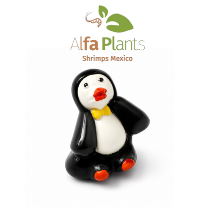 Azoo Pingüino