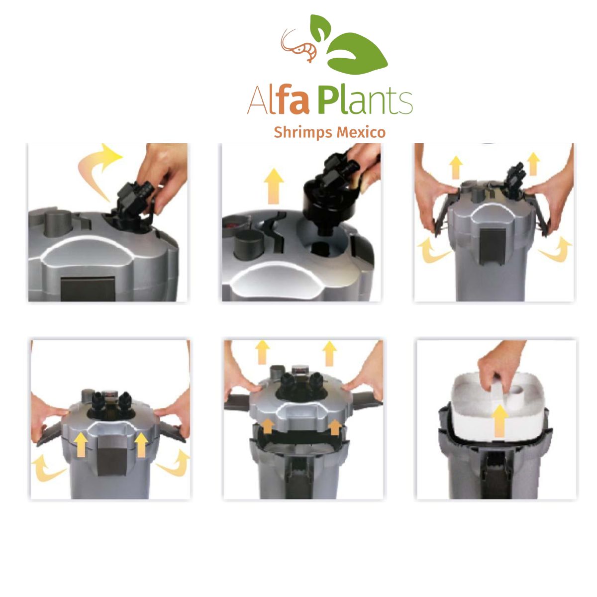 Filtro Canister Boyu EF