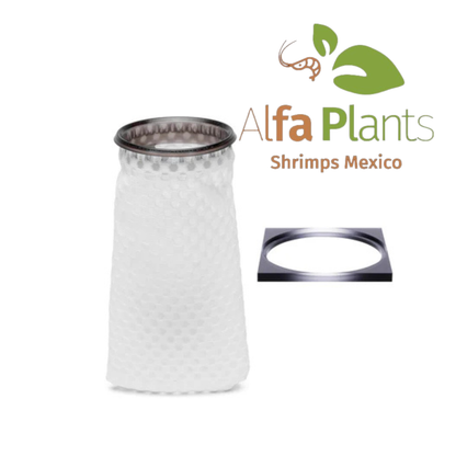 Kit de conversión de filtro AIO Doble UNS