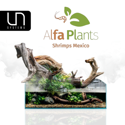 Pecera Ultra Clear Shallow UNS