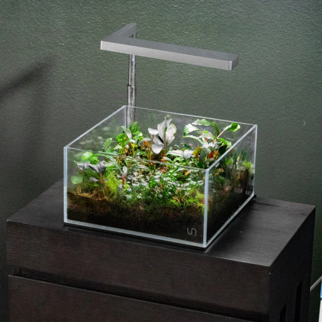 Pecera Ultra Clear Shallow UNS