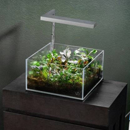 Pecera Ultra Clear Shallow UNS