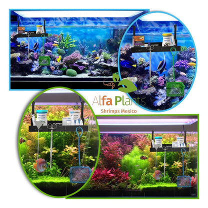 Flipper Tank Buddy