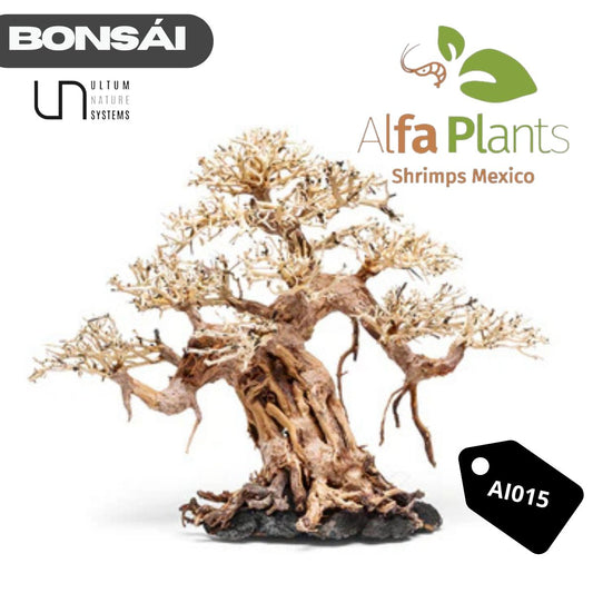 Bonsái AI015