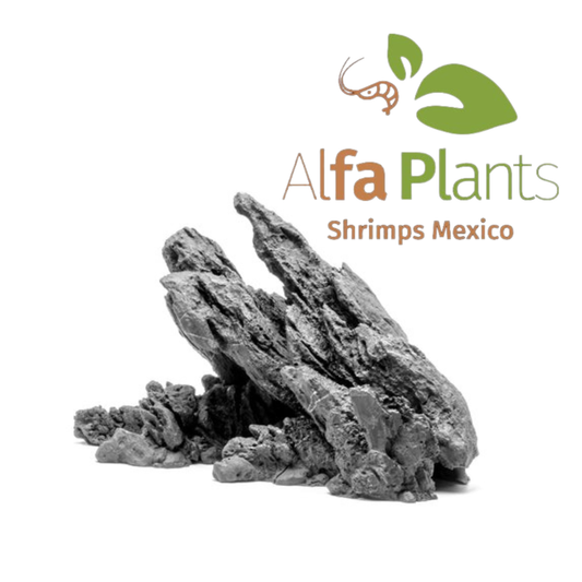 Strata Seiryu Stone Type 1