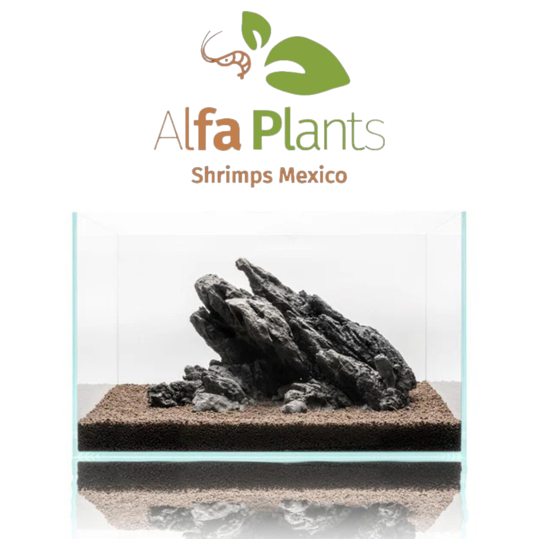 Strata Seiryu Stone Type 1