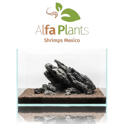 Strata Seiryu Stone Type 1