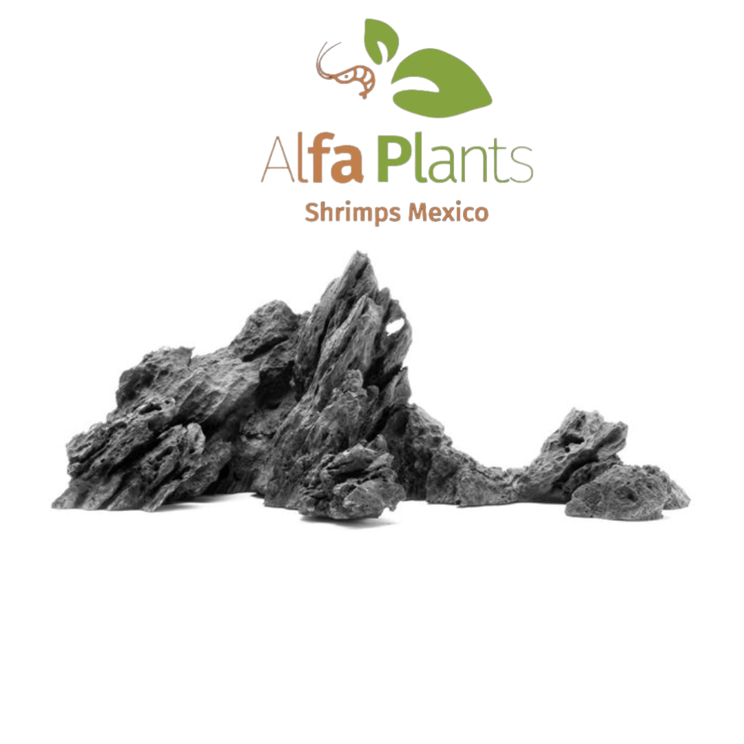 Strata Seiryu Stone Type 2