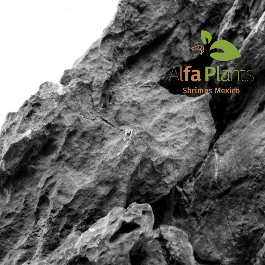 Strata Seiryu Stone Type 2