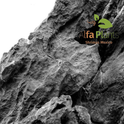 Strata Seiryu Stone Type 2